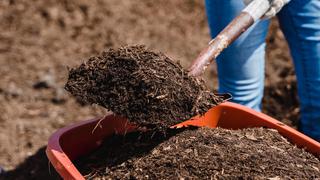 Compost casero: para qué sirve y cómo hacerlo paso a paso