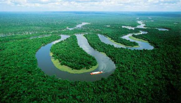 Los árboles de Amazonía "inhalan" menos carbono en sequías, según expertos