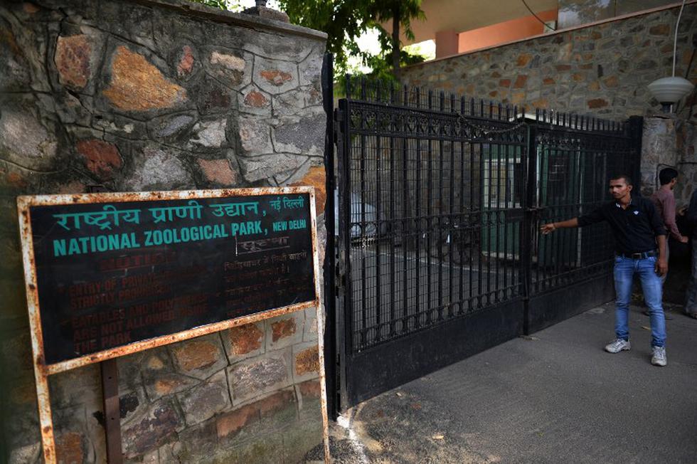 Difunden imágenes del ataque de tigre que dejó un niño muerto