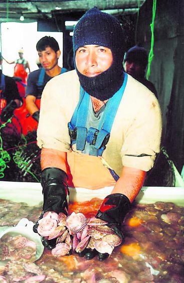 Las exportaciones de Ica se contrajeron en -17% el 2014