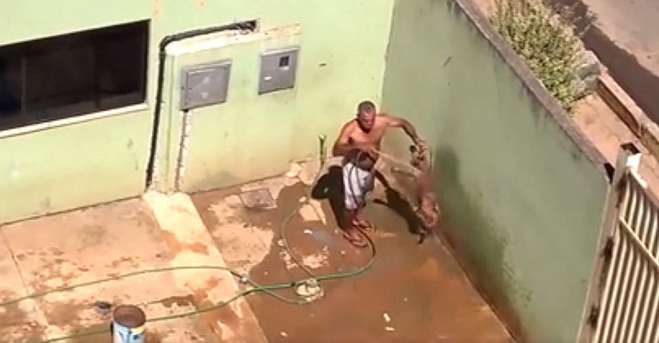  Facebook: difunden video de maltrato animal en Juliaca 