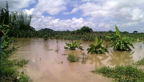 Tumbes: Inician empadronamiento de agricultores afectados por lluvias para beneficiarlos con bono económico