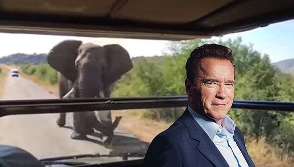 Arnold Schwarzenegger: Elefante le hizo pasar el susto de su vida y grabó el momento (VIDEO)