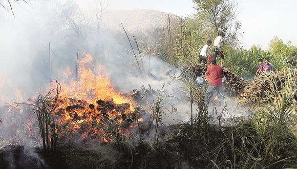 Incendio forestal impide a varios sectores de Casma ver el Perú vs. Nueva Zelanda