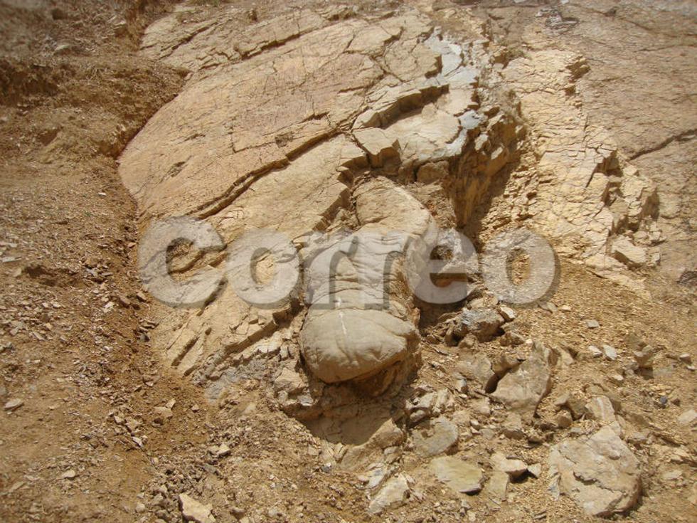 En cerro de Huachac hallan fósiles prehistóricos (VIDEO)