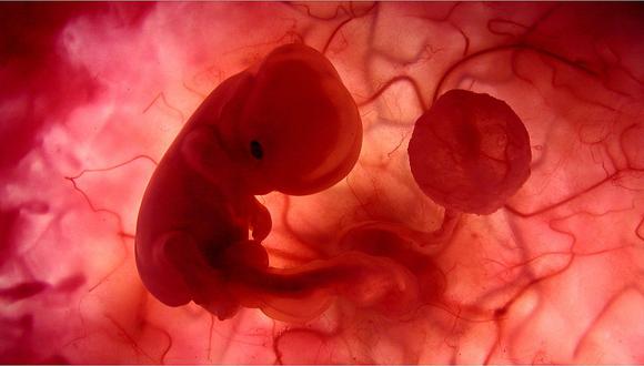 Segundo feto con genes modificados en China tiene de 12 a 14 semanas de gestación, según científico