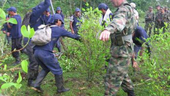 Operaciones de erradicación de cultivos ilegales de hoja de coca se paralizan temporalmente en el VRAE. Imágen referencial de 2019 (GEC)