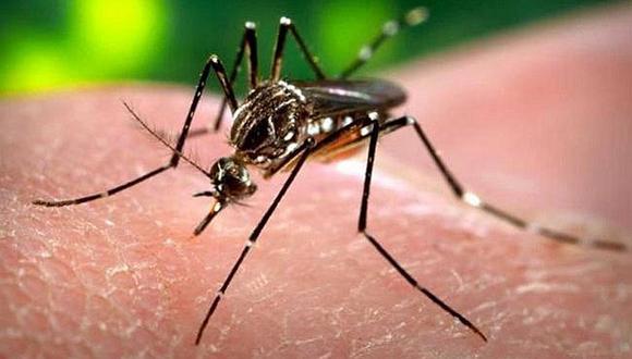 ​Zika: Brasil declara el fin de la emergencia sanitaria nacional por virus