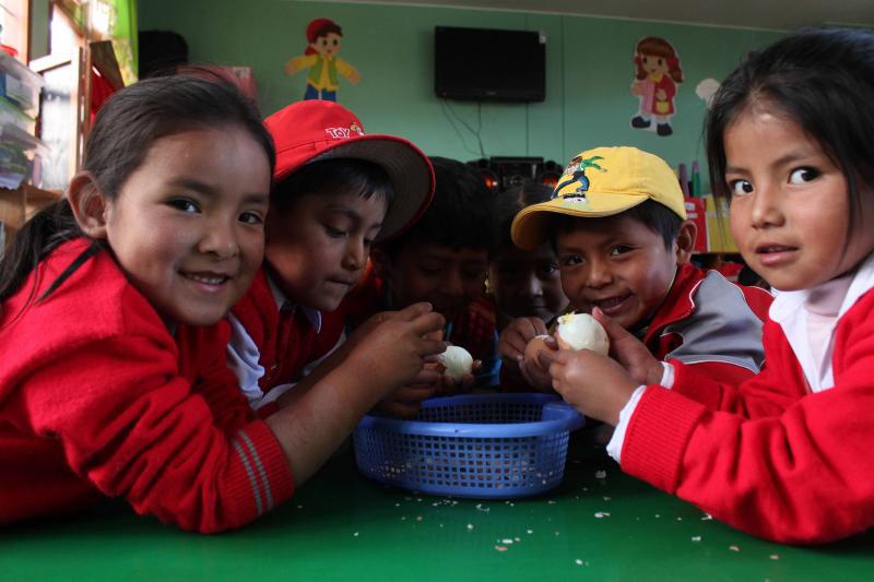 La desnutrición infantil en Cusco, la batalla que no se puede perder