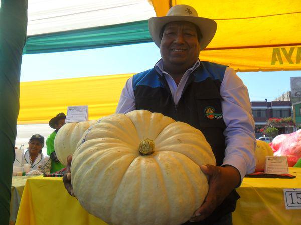Segundo regidor asumirá alcaldía en Curibaya