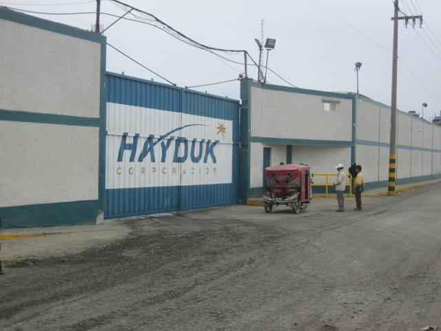 GRA autoriza que pesquera Hayduk genere energía eléctrica 