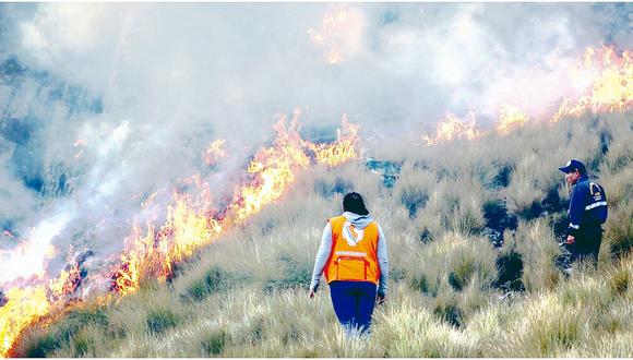 25 incendios forestales ha soportado Áncash 