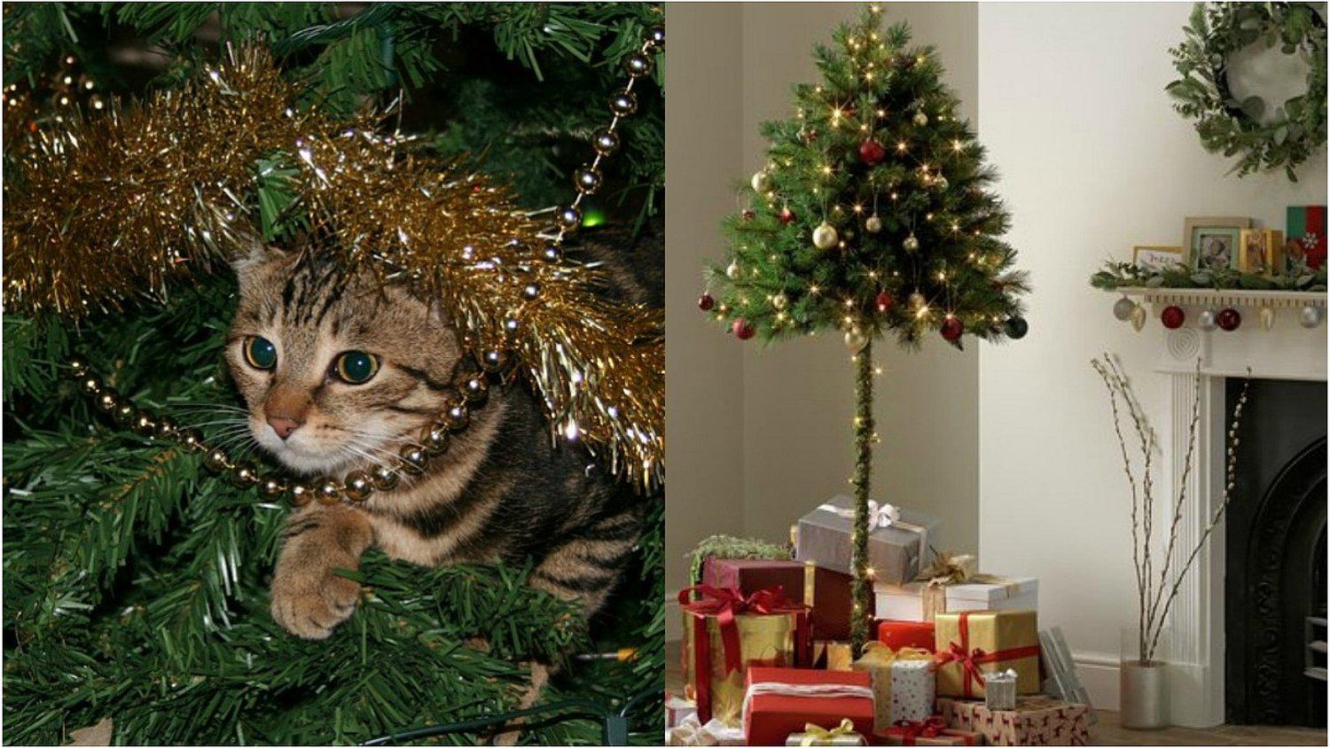 Tienda pone a la venta árbol de Navidad ideal para dueños que tienen gatos (FOTOS)