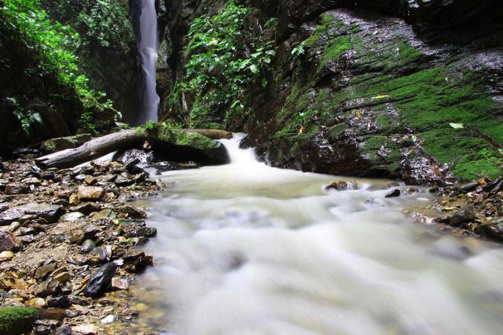 Bahuaja Sonene Paraíso terrenal del Perú 