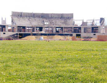 Se abre una "rosa" entre tanta "pampa"