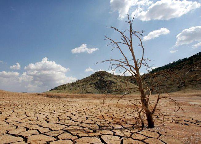 FAO: La mayoría de suelos del planeta están en mal estado y necesitan cuidado