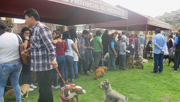 ​Rabia Canina: Hoy, campaña de vacunación en Bustamante y Rivero