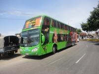 Desbaratan banda de asaltantes de bus 