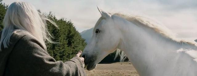 Matan a "Sombragris", el caballo de Gandalf en "El Señor de los Anillos"