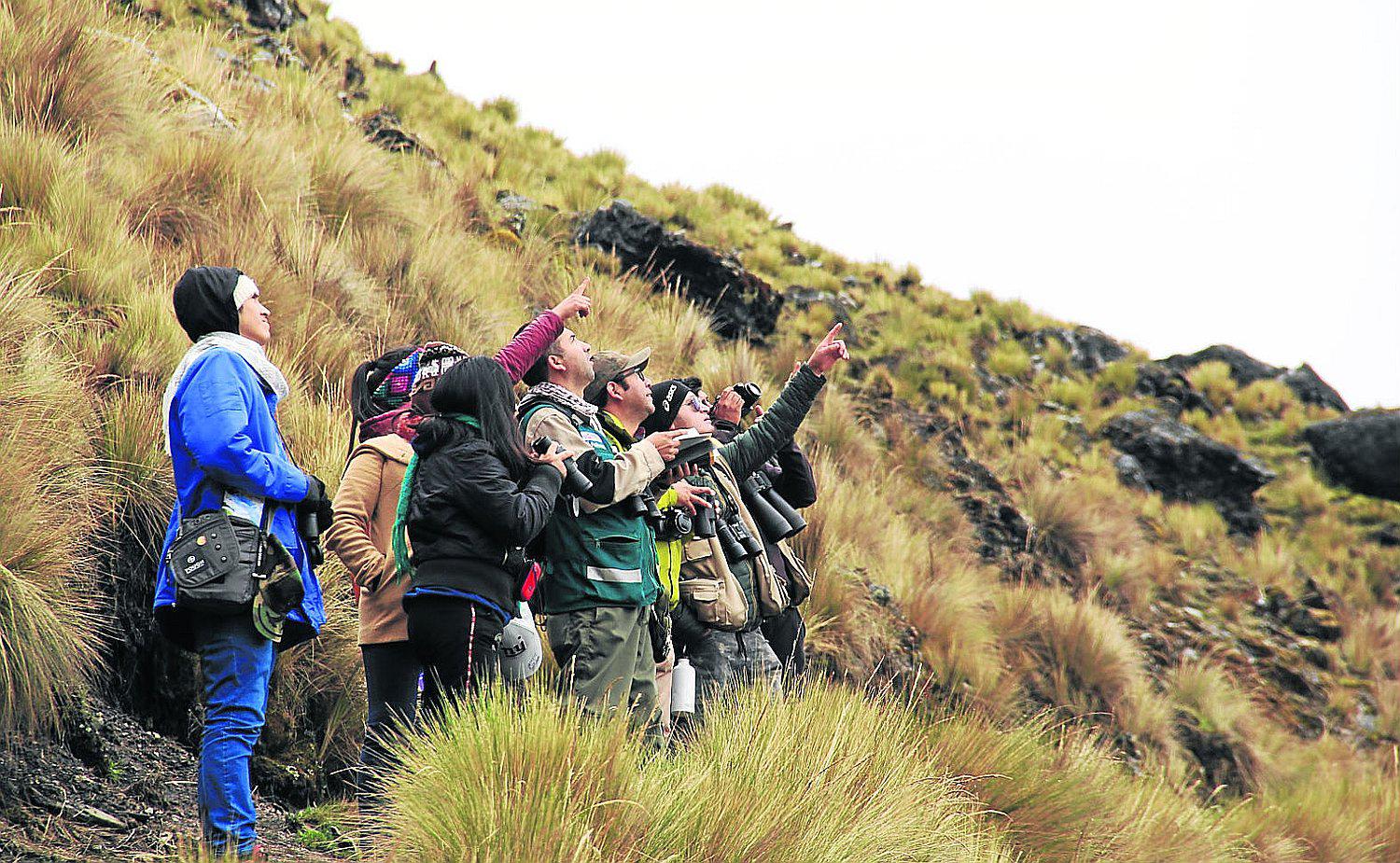 Estudiantes alertan que va disminuyendo especie de ave en nevado del Huaytapallana