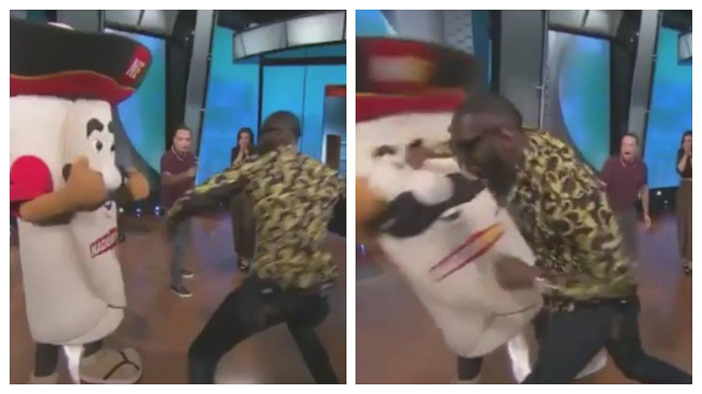 Campeón mundial de pesos pesados noqueó a mascota televisiva en pleno programa (VIDEO)