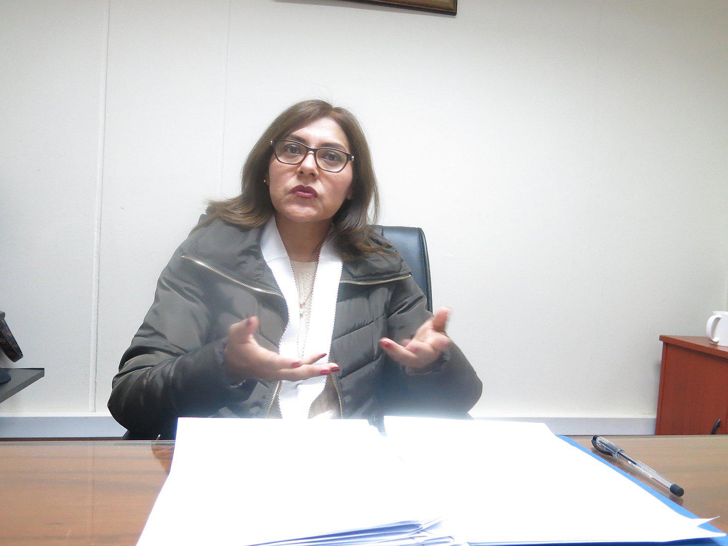 Planes de gobierno no tienen ni una línea que se ocupe de la violencia familiar