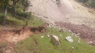 Huancavelica: Plantación de eucaliptos sepultada