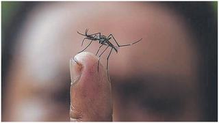 Articulan esfuerzos para erradicar el dengue 