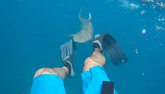 Dos hombres son atacados brutalmente por tiburones blancos en Australia (FOTOS)