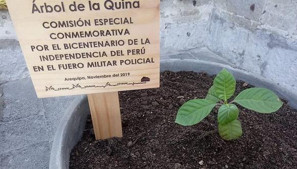 Plantan el árbol de la quina que aparece en el escudo del Perú