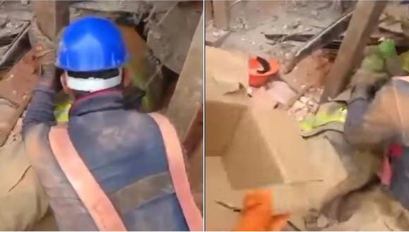 Terremoto en México: así fue el conmovedor rescate de un lorito atrapado entre los escombros (VIDEO) 