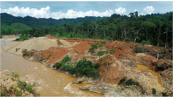 FAO: Cada año se pierden siete millones de hectáreas de bosque tropical