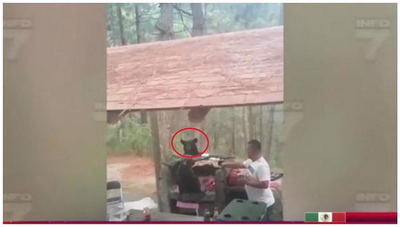 YouTube: oso quiso robarse el asado de una familia y esto paso (VIDEO)