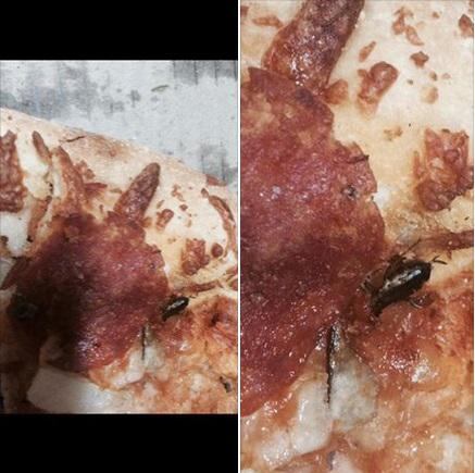 ​Conocido restaurante entregó pizza con cucaracha