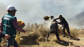 Brigadas siguen luchando por sofocar incendio forestal en el Misti