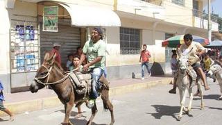 Piura: Vuelve la tradicional “Carrera de Burros” por el 198 aniversario de Catacaos