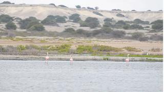 Estuario de Virrilá, nuevo sitio Ramsar