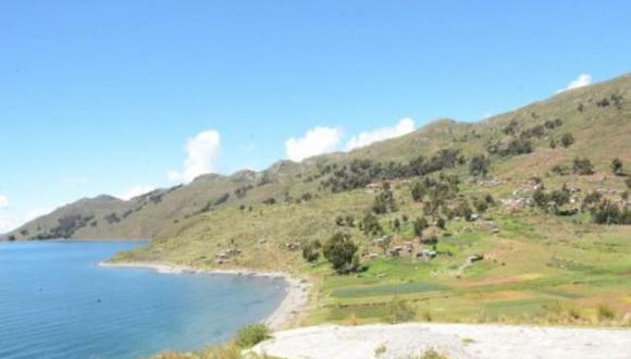 Reforestarán anillo circunlacustre del lago Titicaca