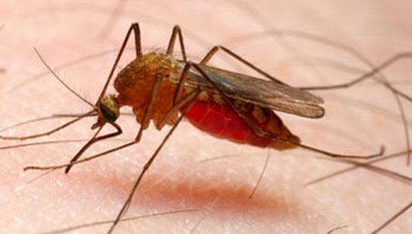  Peruano es diagnosticado con malaria durante su estancia en Chile