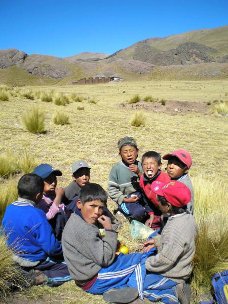 Puno se sumará a la lucha contra la desnutrición infantil