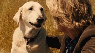 La película de Owen Wilson y Jennifer Aniston que habla sobre el desinteresado amor de una mascota