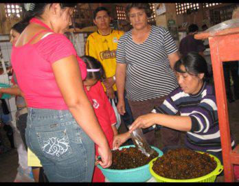 Para variar: cushuro,  frijol verde y cachuelo