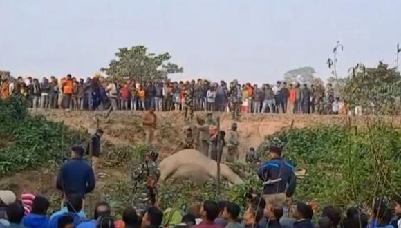 Dos elefantes murieron atropellados por un tren (VIDEO)/ Foto: Captura AFP