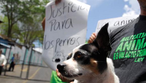 México: Autoridades allanan la casa de supuesta "mataperros"