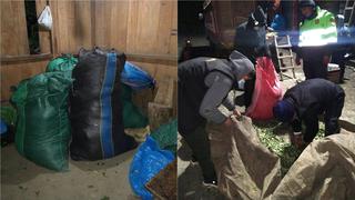 Policía decomisa más de tonelada y media de hojas de coca en Cusco