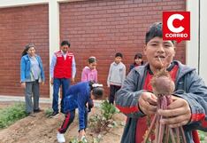 Ica: biohuerto escolar en Los Aquijes fortalece nutrición y aprendizaje de niños