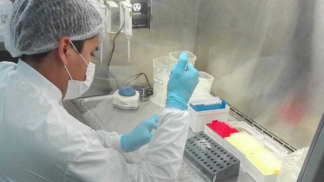 Vacuna peruana contra el COVID-19: construirán laboratorio en Chincha para producir hasta 20 millones de dosis a fines de julio