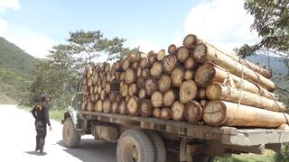 Decomisan cargamento ilegal de madera que salía de Huancabamba