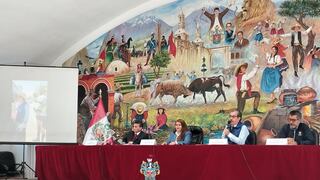 Arequipa: 64% de vehículos adquiridos en Arequipa en 2024 no fueron declarados (VIDEO)