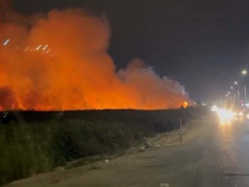 Este año se han registrado varios incendios en los humedales.